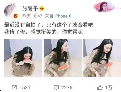 娱乐吃瓜酱的作品地域黑,娱乐吃瓜酱作品中的地域歧视现象